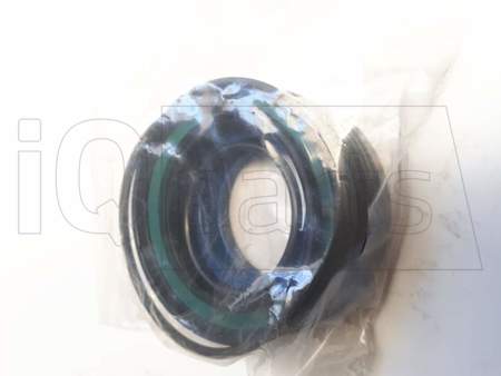 DICHTSATZ KLAPPZYLINDER TERRAROLL