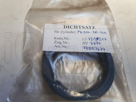 DICHTSATZ PE316100,PF0161/16300
